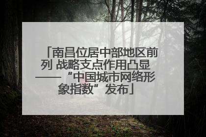 南昌位居中部地区前列 战略支点作用凸显——“中国城市网络形象指数”发布