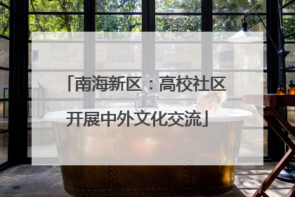 南海新区：高校社区开展中外文化交流
