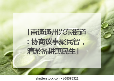 南通通州兴东街道：协商议事聚民智，清淤备耕惠民生