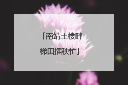 南靖土楼畔 梯田插秧忙