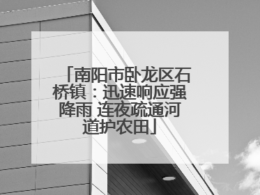 南阳市卧龙区石桥镇：迅速响应强降雨 连夜疏通河道护农田