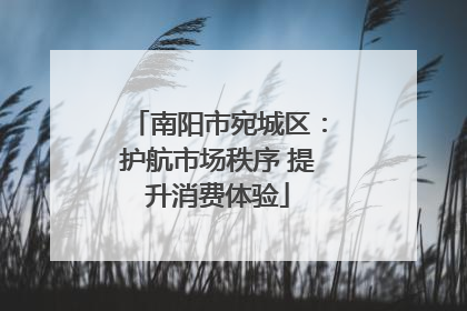南阳市宛城区：护航市场秩序 提升消费体验