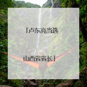 卢东亮当选山西省省长