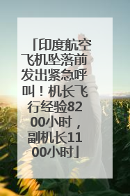 印度航空飞机坠落前发出紧急呼叫！机长飞行经验8200小时，副机长1100小时