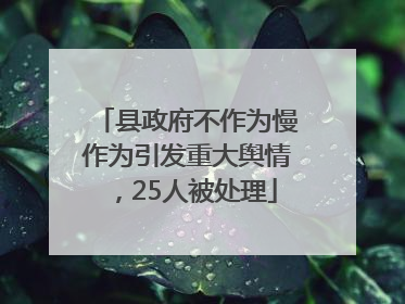 县政府不作为慢作为引发重大舆情，25人被处理