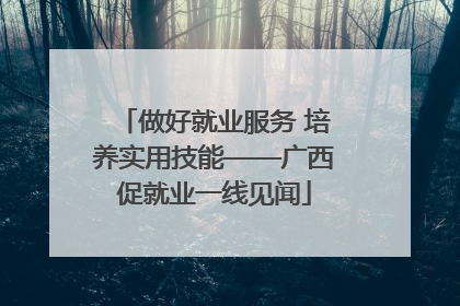 做好就业服务 培养实用技能——广西促就业一线见闻