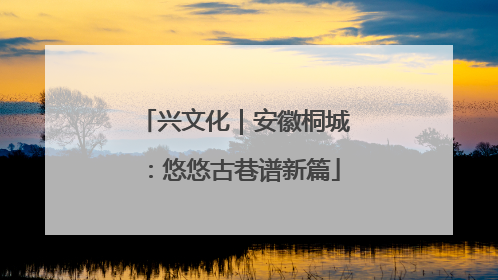 兴文化｜安徽桐城：悠悠古巷谱新篇