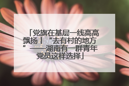 党旗在基层一线高高飘扬丨“去有村的地方”——湖南有一群青年党员这样选择