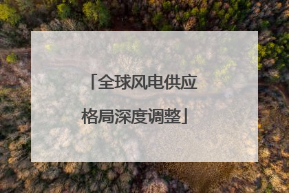 全球风电供应格局深度调整
