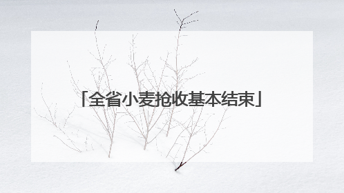 全省小麦抢收基本结束