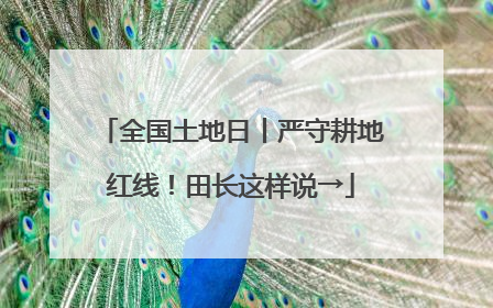 全国土地日丨严守耕地红线！田长这样说→
