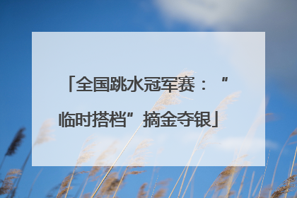 全国跳水冠军赛：“临时搭档”摘金夺银