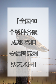 全国40个绣种齐聚成都 亮相安靖国际刺绣艺术周