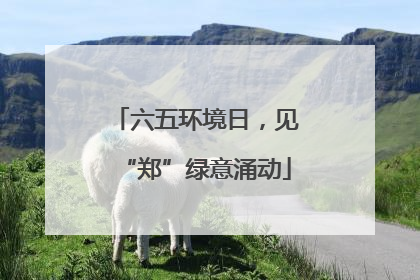 六五环境日，见“郑”绿意涌动