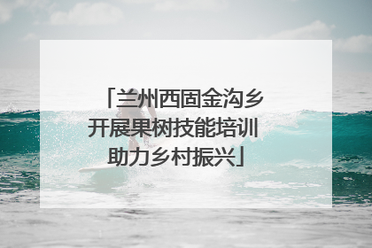 兰州西固金沟乡开展果树技能培训 助力乡村振兴