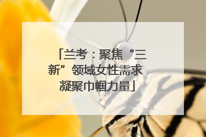 兰考：聚焦“三新”领域女性需求 凝聚巾帼力量