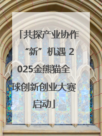 共探产业协作“新”机遇 2025金熊猫全球创新创业大赛启动
