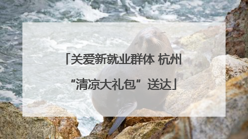 关爱新就业群体 杭州“清凉大礼包”送达