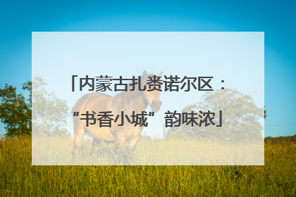 内蒙古扎赉诺尔区：“书香小城”韵味浓