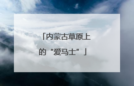 内蒙古草原上的“爱马士”