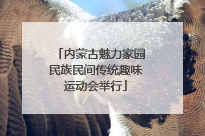 内蒙古魅力家园民族民间传统趣味运动会举行