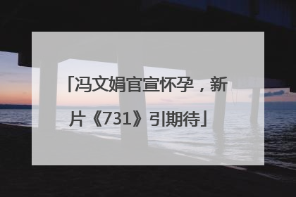 冯文娟官宣怀孕，新片《731》引期待