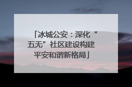 冰城公安：深化“五无”社区建设构建平安和谐新格局