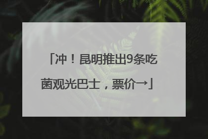 冲！昆明推出9条吃菌观光巴士，票价→