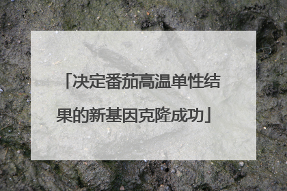 决定番茄高温单性结果的新基因克隆成功