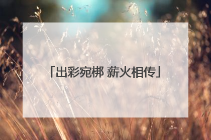 出彩宛梆 薪火相传