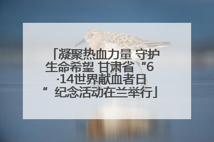 凝聚热血力量 守护生命希望 甘肃省“6 ·14世界献血者日”纪念活动在兰举行