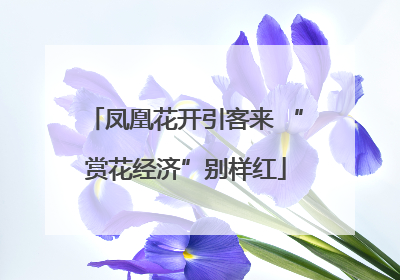 凤凰花开引客来 “赏花经济”别样红