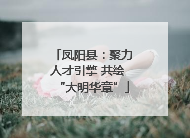 凤阳县：聚力人才引擎 共绘“大明华章”