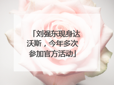 刘强东现身达沃斯，今年多次参加官方活动