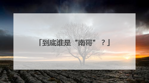 到底谁是“南哥”？