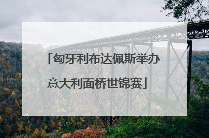 匈牙利布达佩斯举办意大利面桥世锦赛