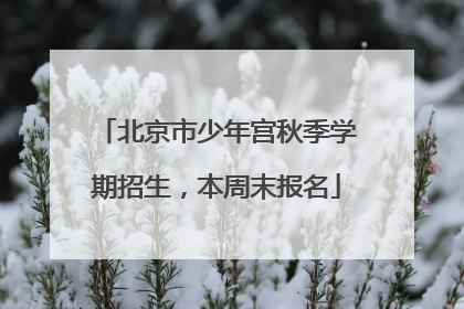 北京市少年宫秋季学期招生，本周末报名