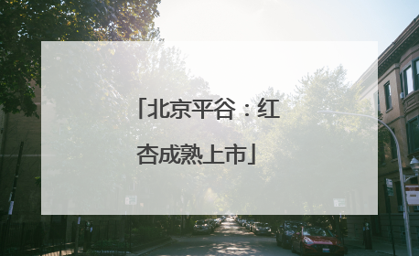 北京平谷：红杏成熟上市