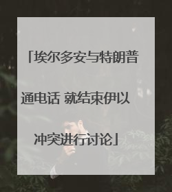 埃尔多安与特朗普通电话 就结束伊以冲突进行讨论
