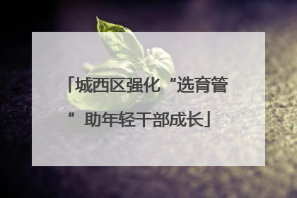 城西区强化“选育管”助年轻干部成长