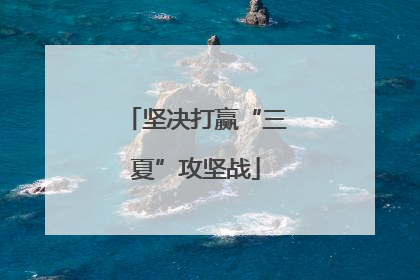 坚决打赢“三夏”攻坚战
