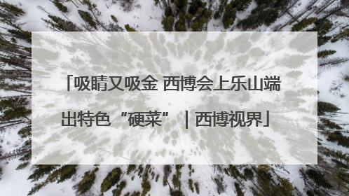 吸睛又吸金 西博会上乐山端出特色“硬菜”｜西博视界