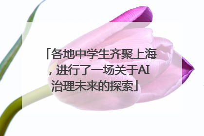 各地中学生齐聚上海，进行了一场关于AI治理未来的探索