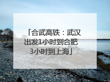 合武高铁：武汉出发1小时到合肥3小时到上海