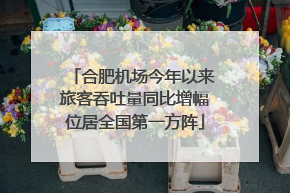 合肥机场今年以来旅客吞吐量同比增幅位居全国第一方阵