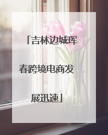 吉林边城珲春跨境电商发展迅速