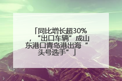 同比增长超30%，“出口车辆”成山东港口青岛港出海“头号选手”