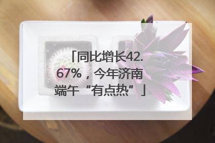 同比增长42.67%，今年济南端午“有点热”