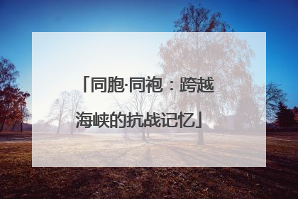 同胞·同袍：跨越海峡的抗战记忆