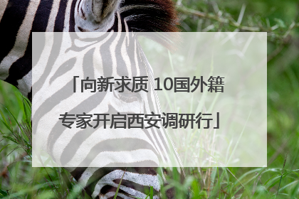 向新求质 10国外籍专家开启西安调研行
